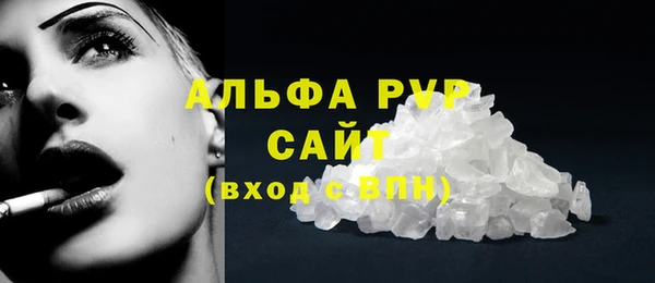 сатива Богородицк