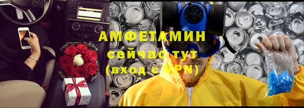 сатива Богородицк