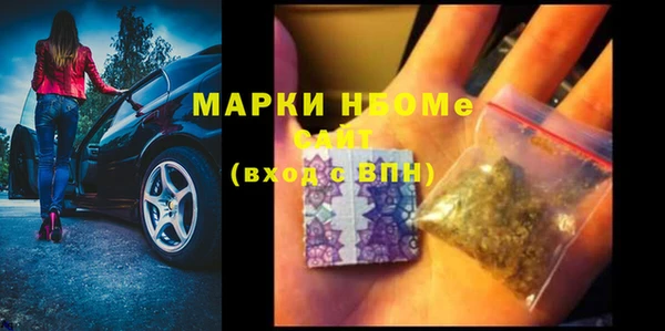 сатива Богородицк