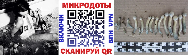 Галлюциногенные грибы GOLDEN TEACHER  Калуга 